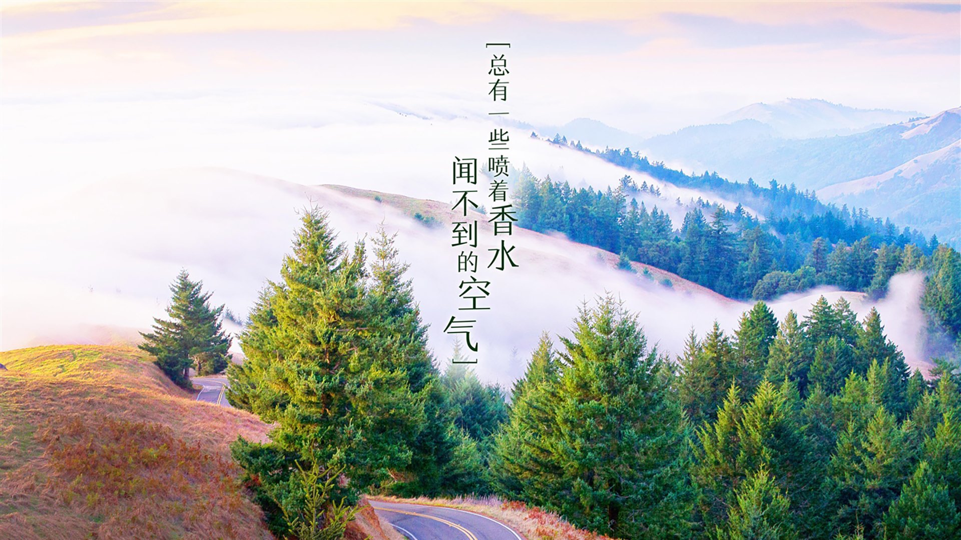 AYX体育-法国男篮在奥运热身赛中展现年轻球员潜力，法国男篮奥运阵容