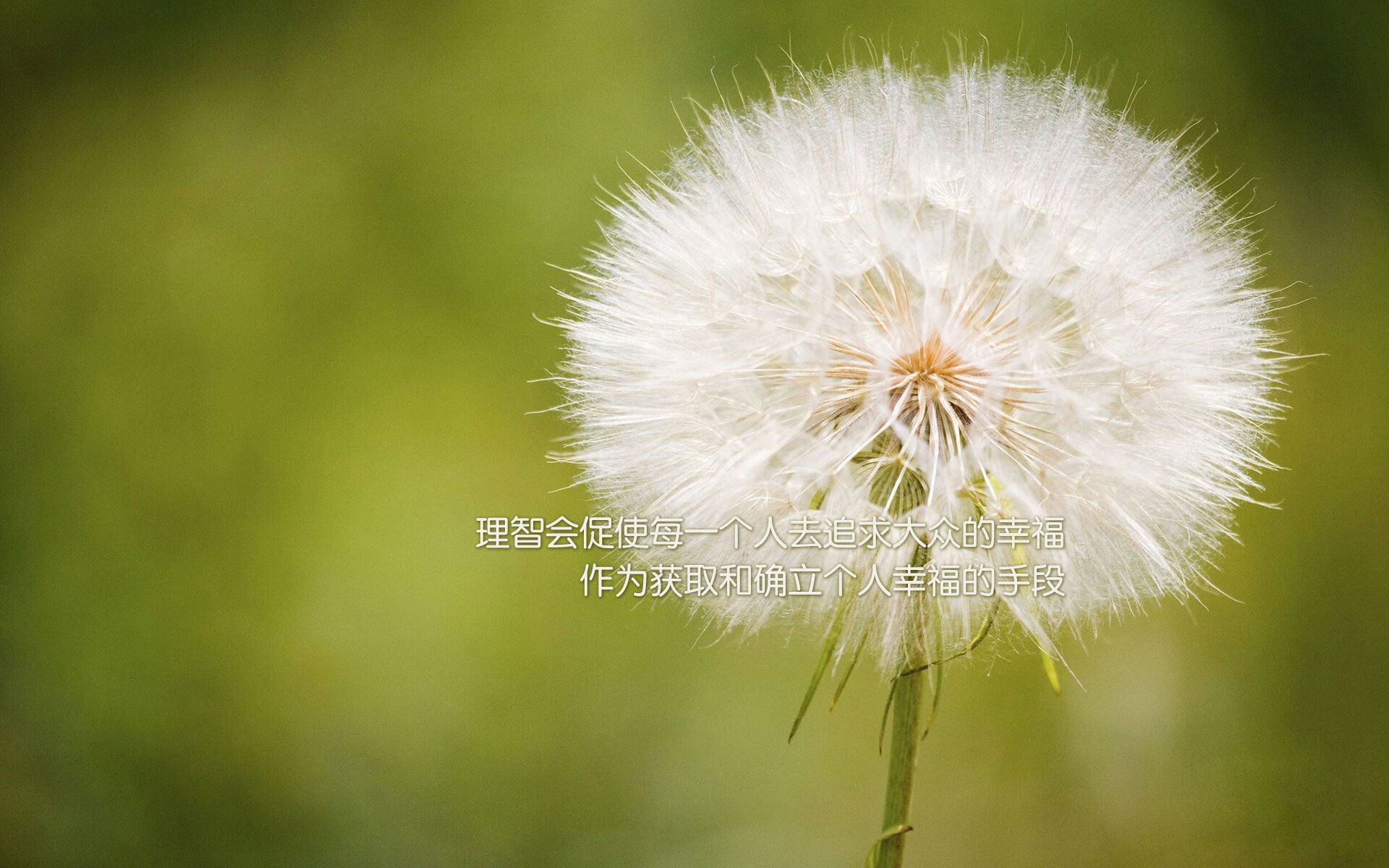 爱游戏官方网站-足球媒体融合发展试点城市发布计划，足球媒体有哪些