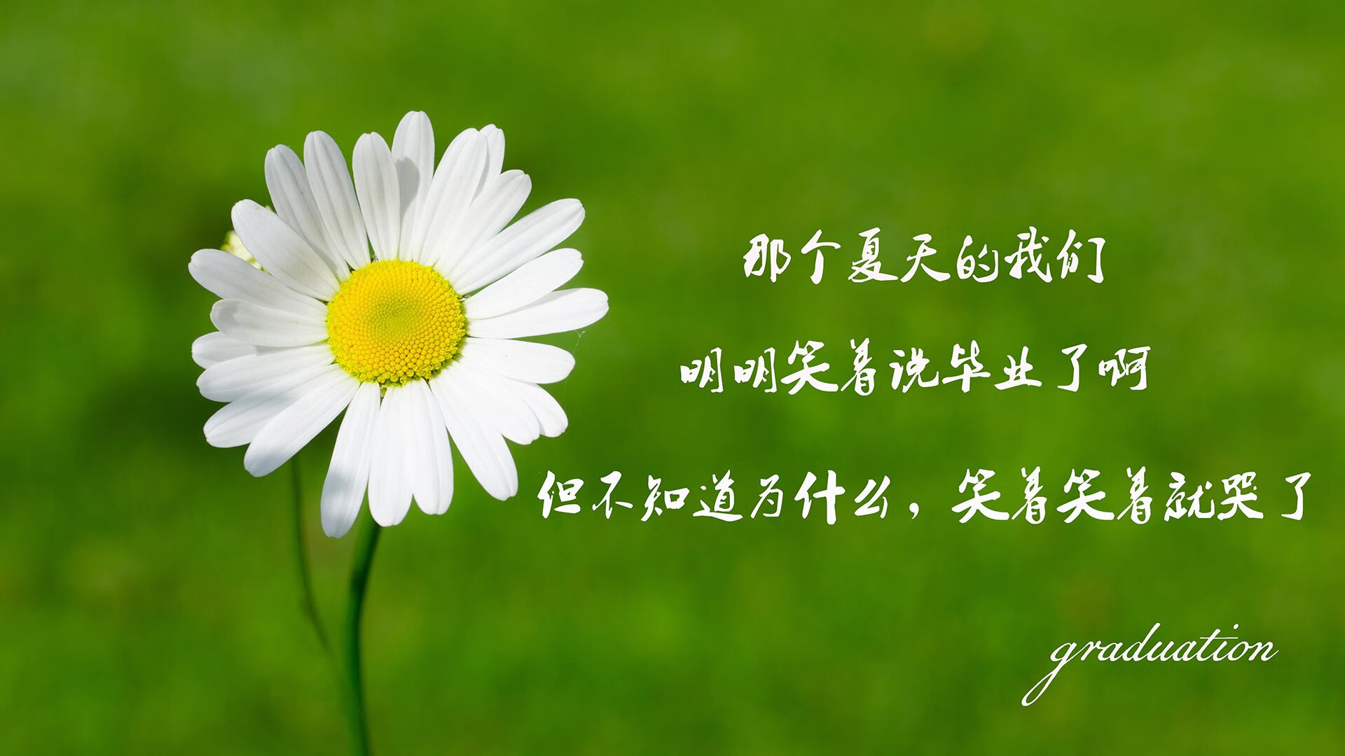 爱游戏-瑞典胜过俄罗斯，晋级欧国盃四强，瑞典队欧洲杯战绩
