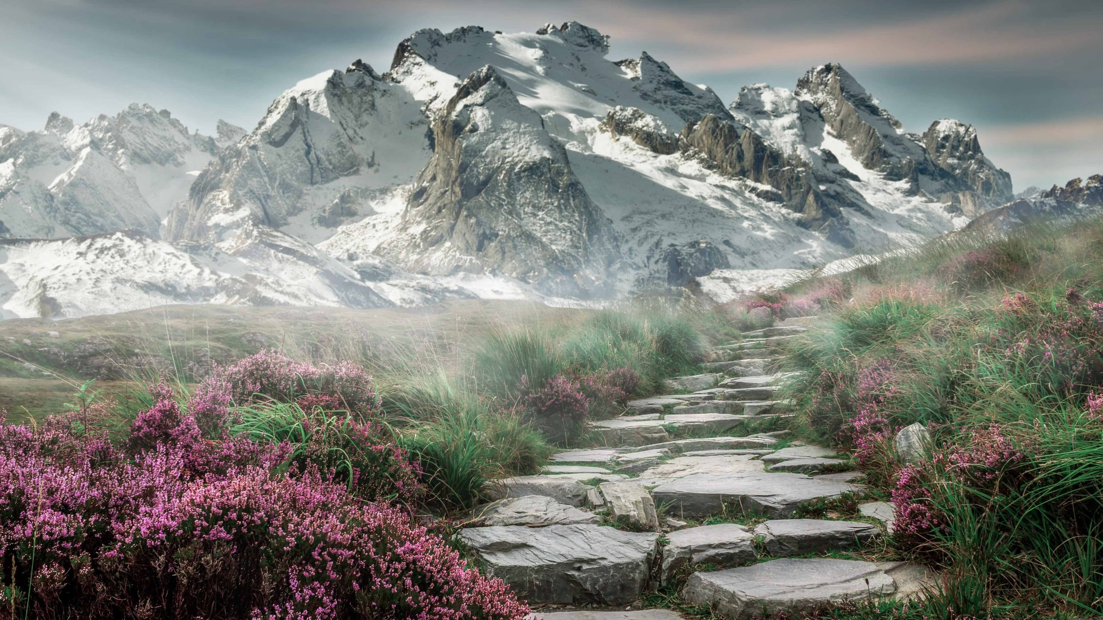 爱游戏体育-奥运村食品追溯系统上线保障饮食安全，奥运村食物