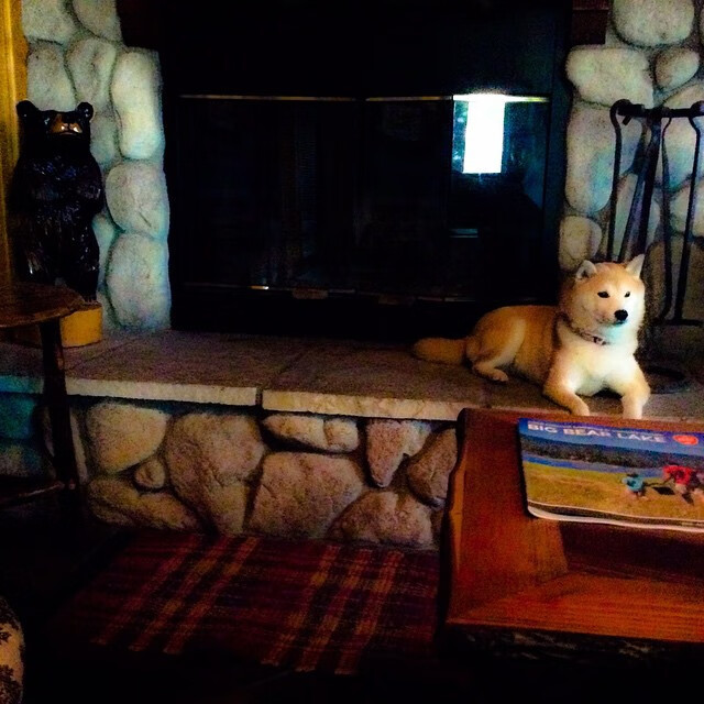 爱游戏体育APP下载-澳大利亚队在国际乒联混合团体世界杯中的表现可圈可点，国际乒联澳大利亚公开赛