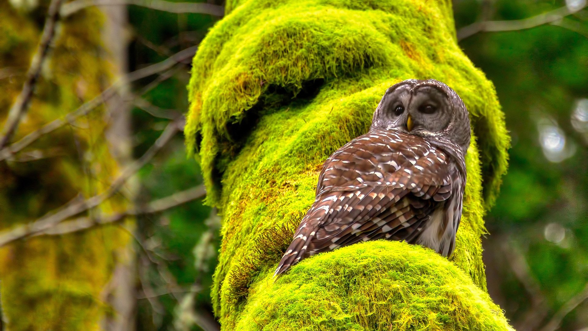 库里接受青少年提问妙语连珠引掌声,库里说过