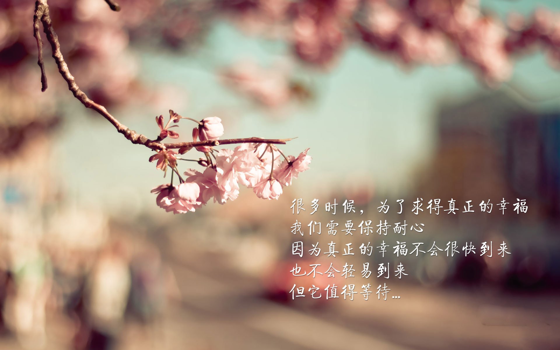 AYX SPORTS-联赛球员穿戴设备检测训练数据辅助科学备战与伤病预警，如何得知球赛球员穿什么衣服